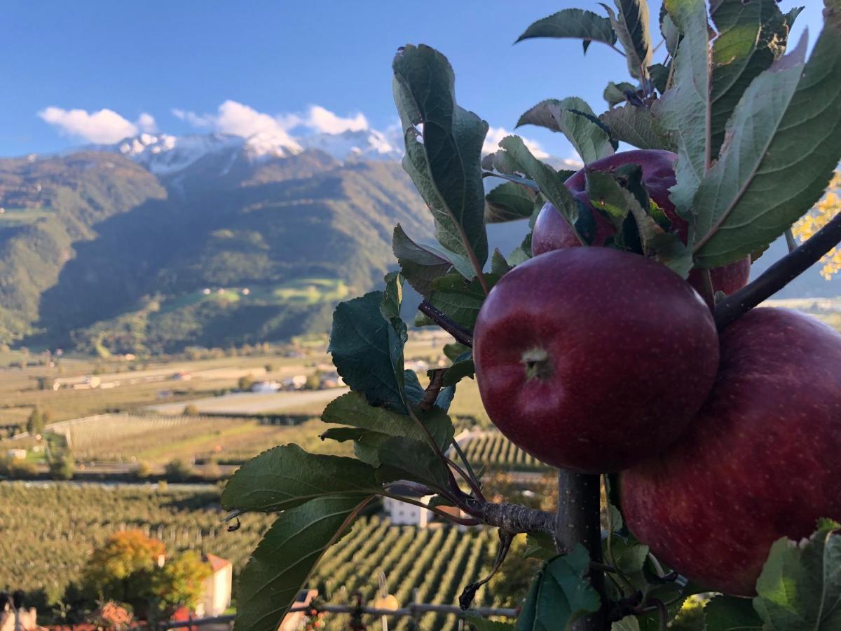 Haus Talblick "Wallbug" Ferienwohnung 1 Naturns Kültér fotó